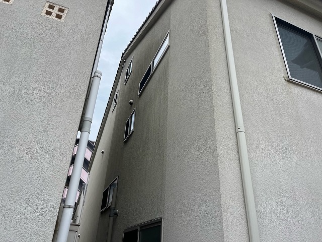 日の当たらない北面のリシン外壁 緑がかった苔と黒ずみが広がった状態