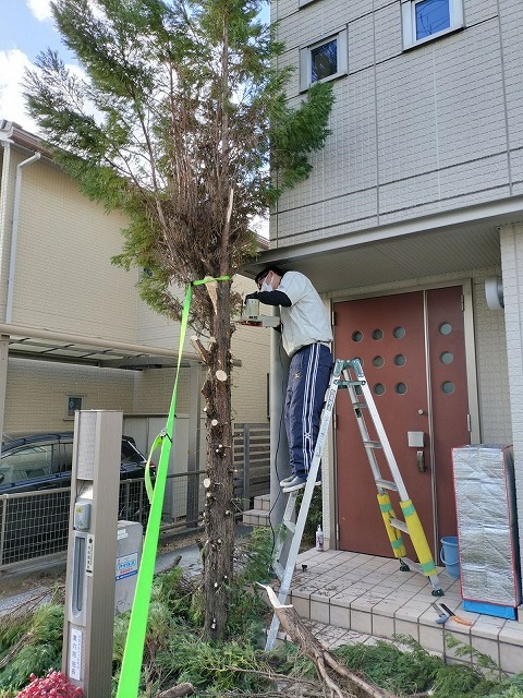 足場を組む前に、外壁際に育っていた庭木を伐採している作業の様子