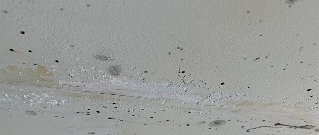 軒天の浮いた塗膜をケレン作業で削り落としている様子