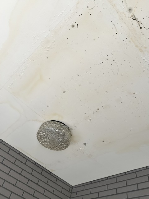 軒天の隅にある円形照明のまわりに出た雨染み