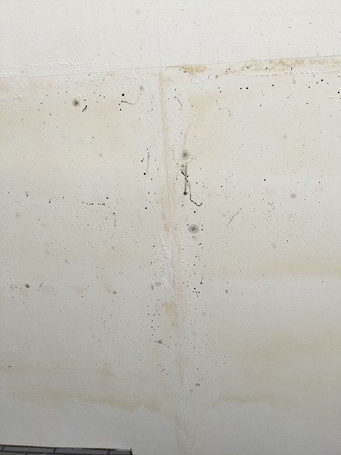 軒天の継ぎ目部分に出たシミと塗膜のふくれを寄りで撮影した状態