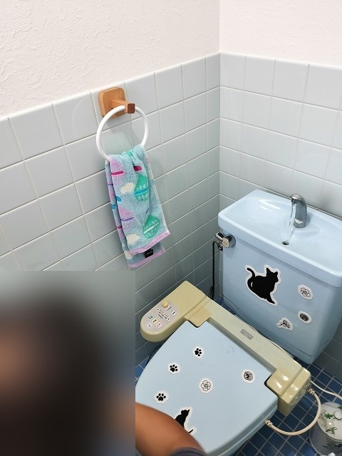 交換前の温水洗浄便座 経年劣化した既存のウォシュレットと水色の便器