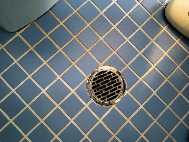 トイレの床にある排水口 水の流れが悪くなっていた状態