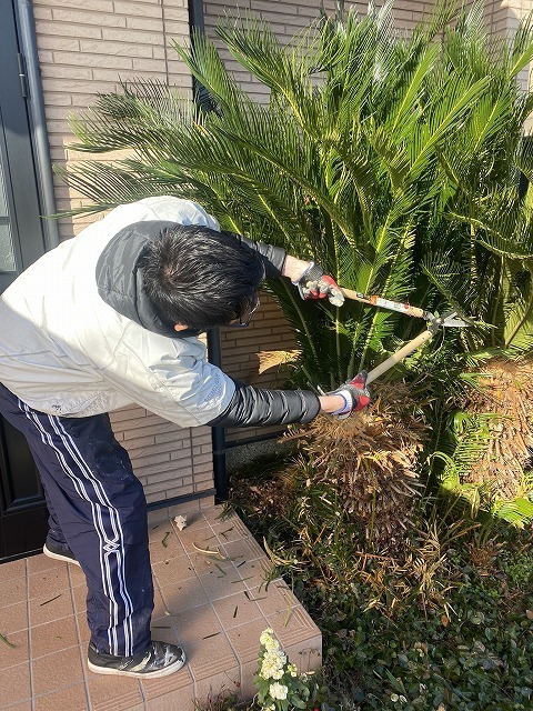 職人が枝切りバサミで外壁際の植栽を刈り込む作業