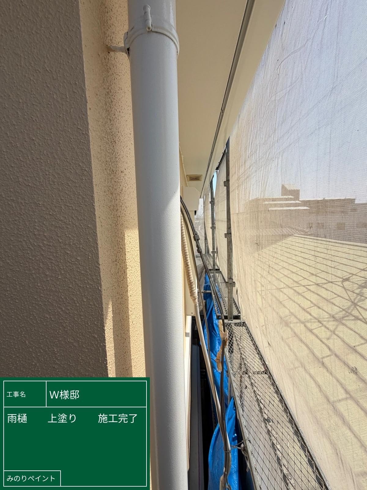 竪樋 上塗り後