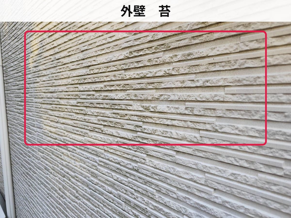 外壁　苔