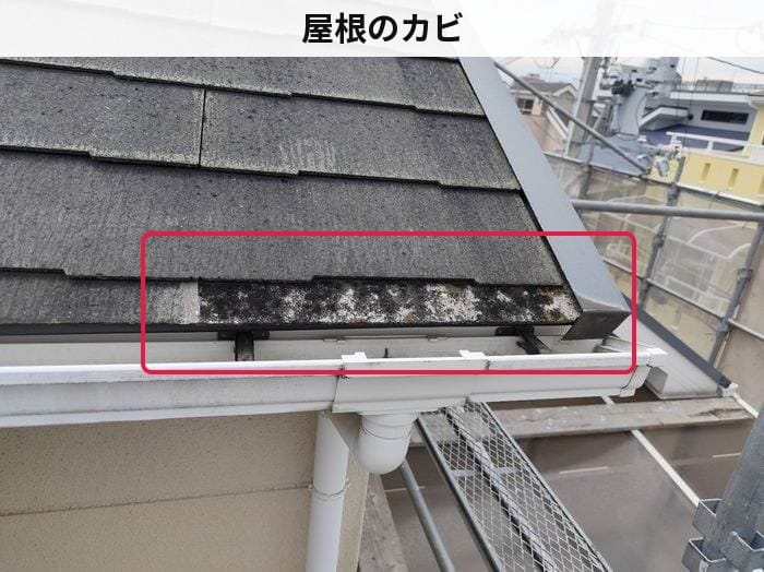 屋根 カビ