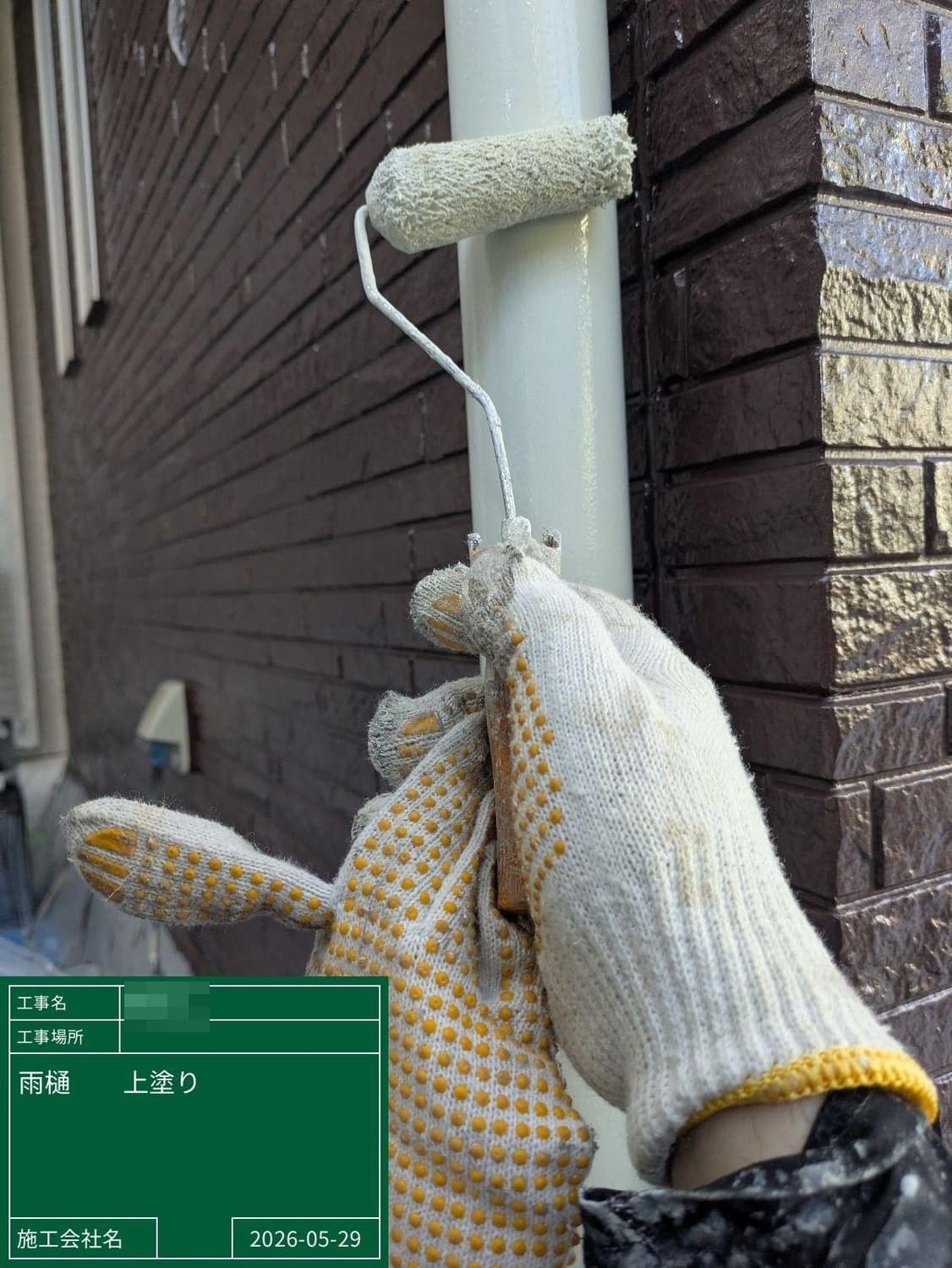 雨樋 上塗り