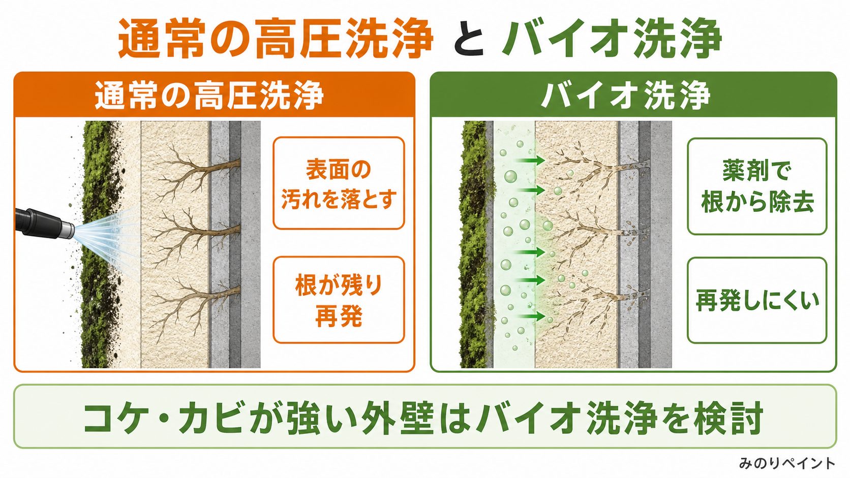 通常の高圧洗浄とバイオ洗浄の比較図。通常洗浄は根が残り再発し、バイオ洗浄は薬剤で根から除去する
