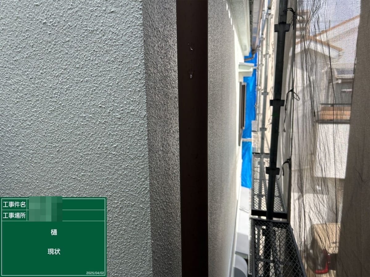 竪樋 施工前