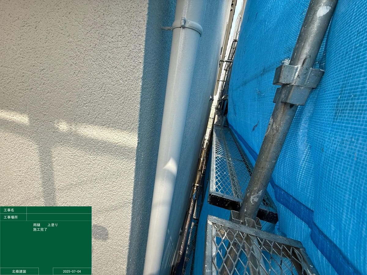 竪樋 上塗り完了